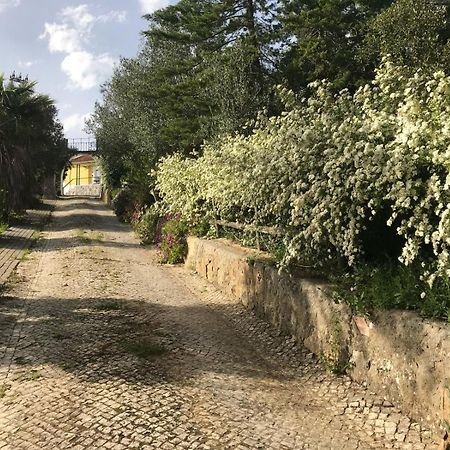 Quinta Dos Canais Setubal Ngoại thất bức ảnh