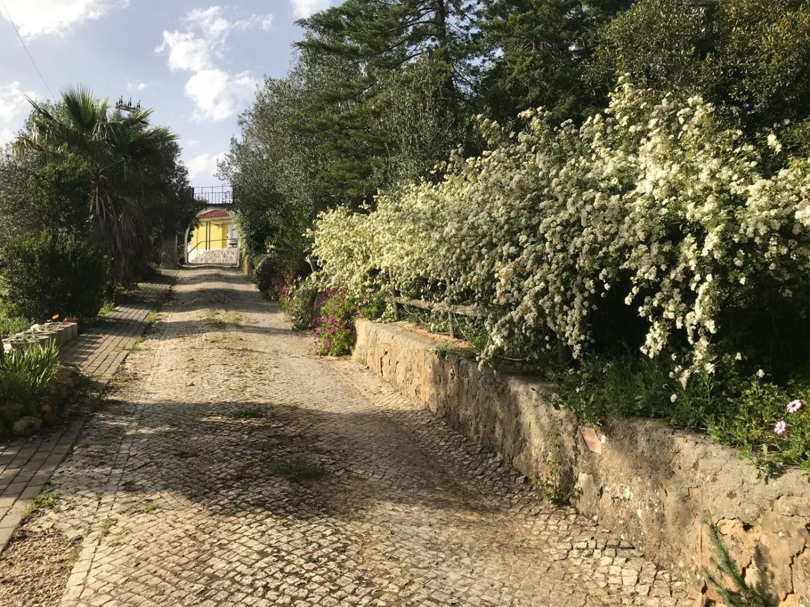 Quinta Dos Canais Setubal Ngoại thất bức ảnh