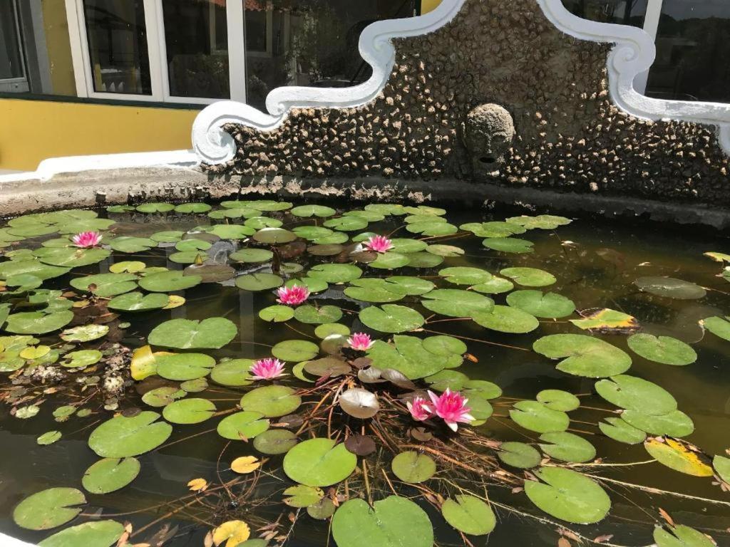 Quinta Dos Canais Setubal Ngoại thất bức ảnh